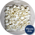 8197-P8 - Craft Pack - Mini White Rose Cockle Shells